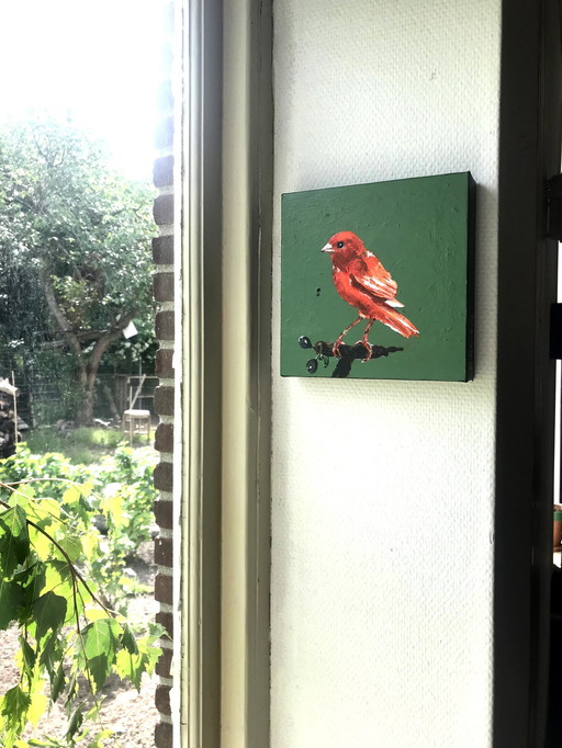 Portrait Of Orange Canary