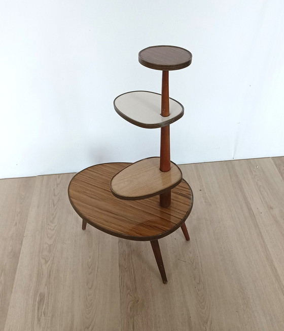 Image 1 of sixties plant table with wood motifs