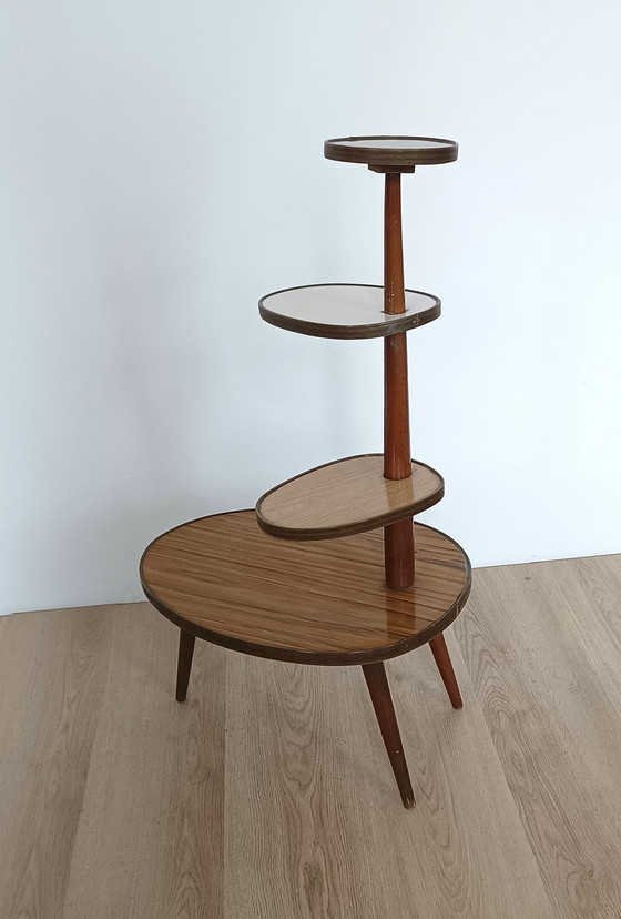 Image 1 of sixties plant table with wood motifs