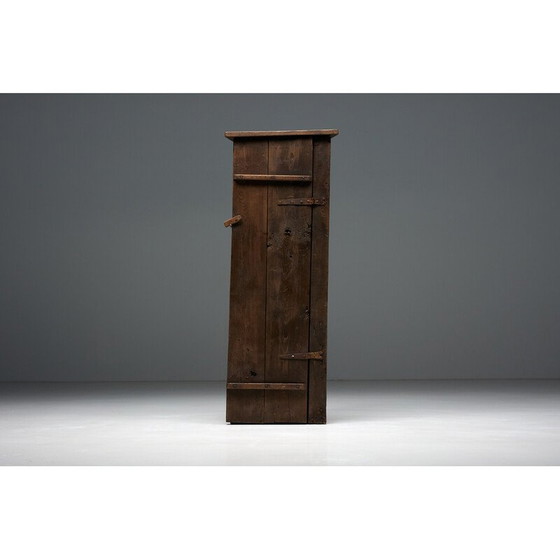 Image 1 of Vintage Monoxylite cabinet, France