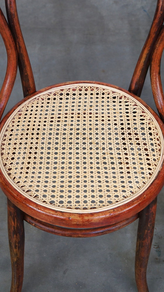 Image 1 of Thonet Chair Model No. 14