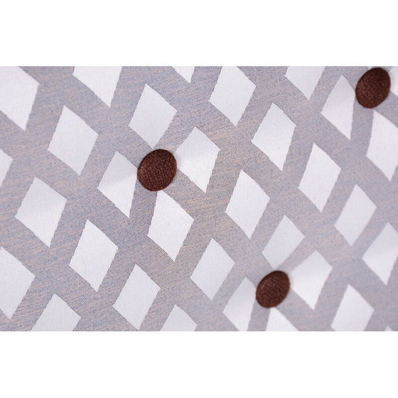 Image 1 of Poltrona Art Déco vintage in faggio, Cecoslovacchia 1920