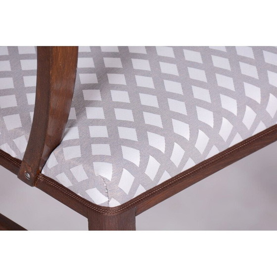 Image 1 of Poltrona Art Déco vintage in faggio, Cecoslovacchia 1920