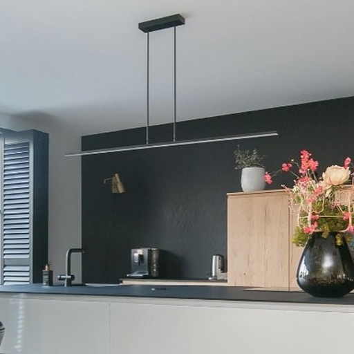 Modern Pendant Lamp Steinhauer Zelena LED.