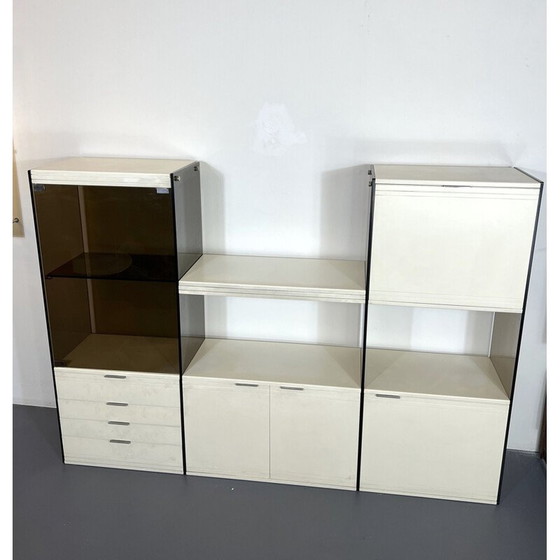 Image 1 of Vintage kitchen cabinet in smoked glass and lacquered wood by Gallotti and Radice, 1970