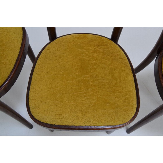 Image 1 of Set di 4 sedie vintage Ton, Cecoslovacchia anni '60
