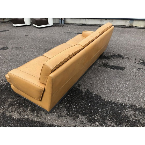 Image 1 of Vintage sofa by Roche Bobois, 1970