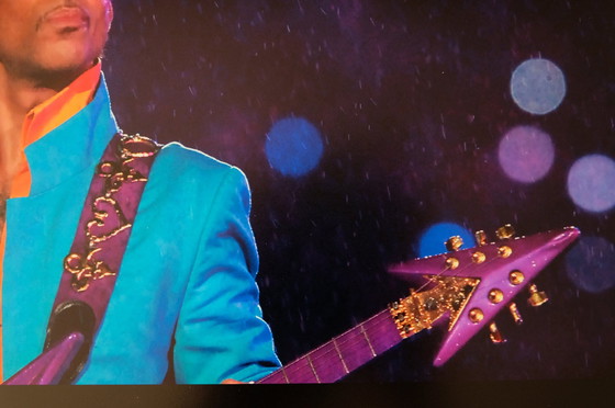 Image 1 of Prince | Photo