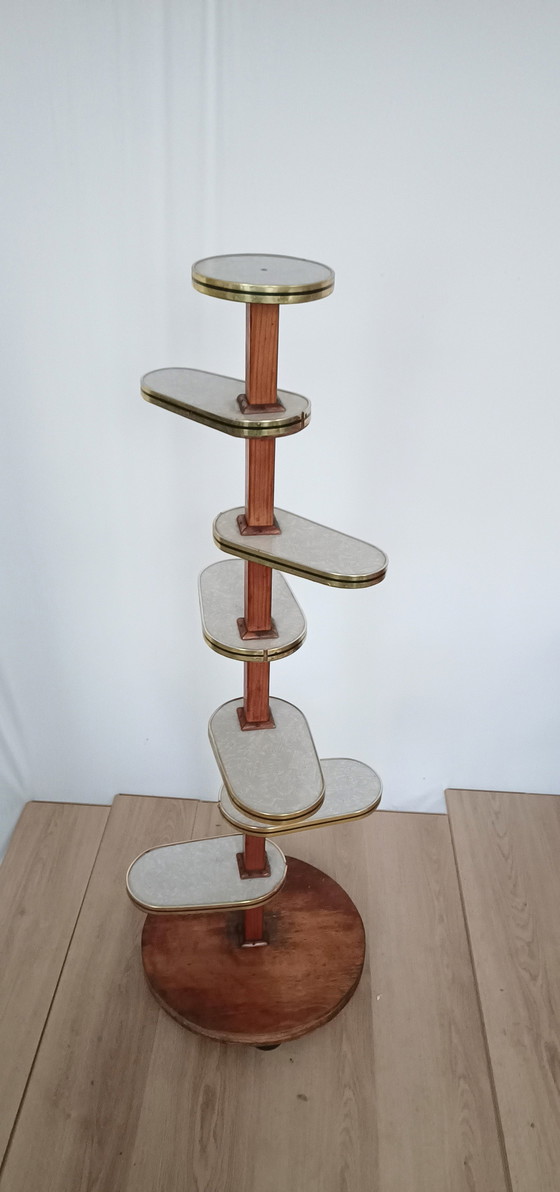 Image 1 of Plant Table Fifties Years Extremely Large