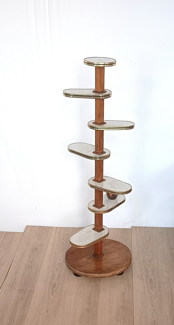 Image 1 of Plant Table Fifties Years Extremely Large