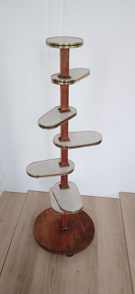 Image 1 of Plant Table Fifties Years Extremely Large