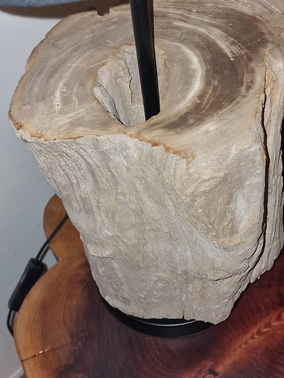 Image 1 of Vintage lamp with petrified wood