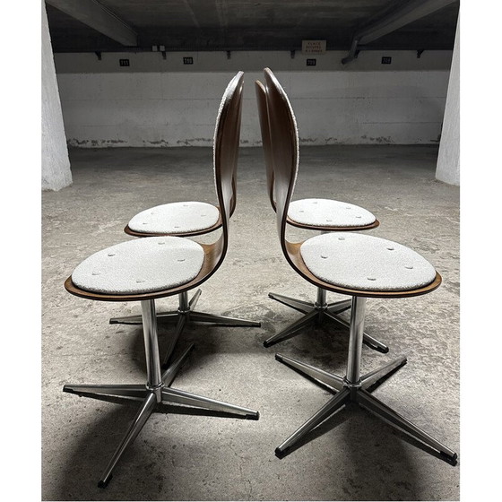 Image 1 of Set of 4 vintage chairs in bentwood and rosewood veneer by Elmar Flötotto, Germany 1960