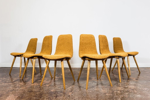 Set Of 6 Chairs, A-6150 By Fameg, Poland, 1960’S