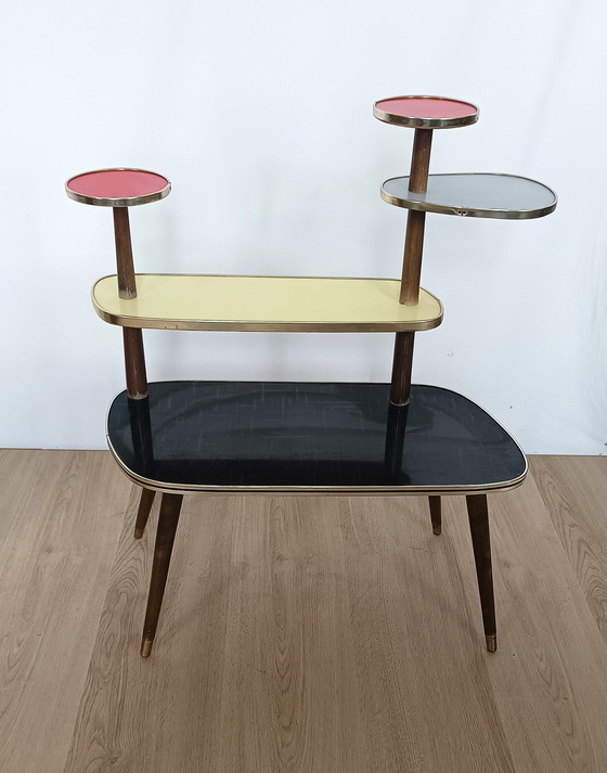 Image 1 of Multicolored Fifties Plant Table