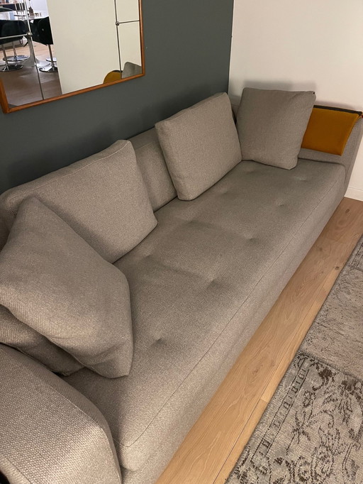 Minotti sofa