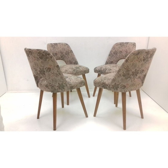 Image 1 of Set di 4 sedie vintage in faggio di Oswald Haerdtl, Cecoslovacchia 1950