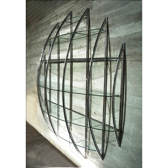 Image 1 of Vintage curved steel and glass wall bookcase by Manfredo Massironi for Nikol International, 1970