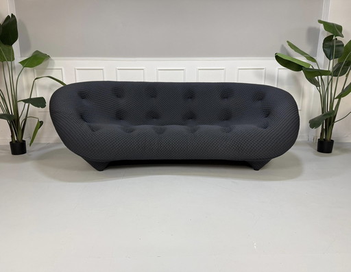 Ligne Roset Ploum Designer Sofa Gray Couch 4 Seater