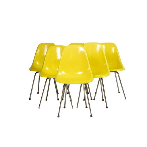 Set of 6 vintage Dsx model chairs in yellow fiberglass and chromed metal, 1960s