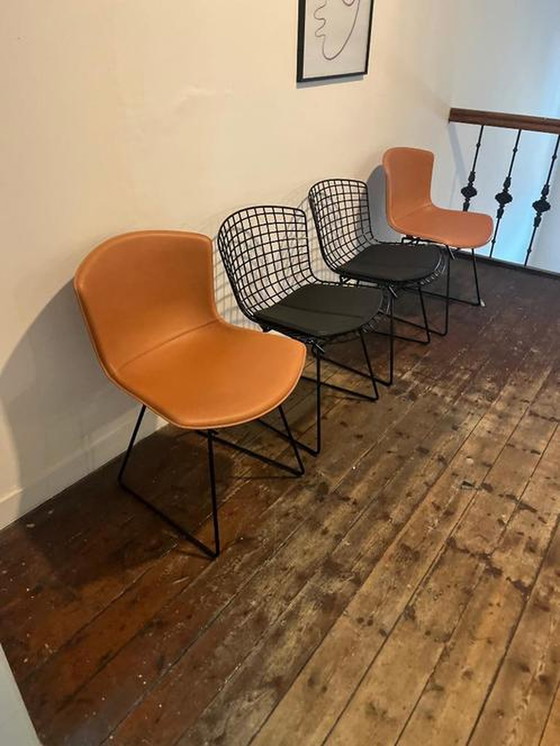 Image 1 of 4x Knoll International Bertoia dining room chairs