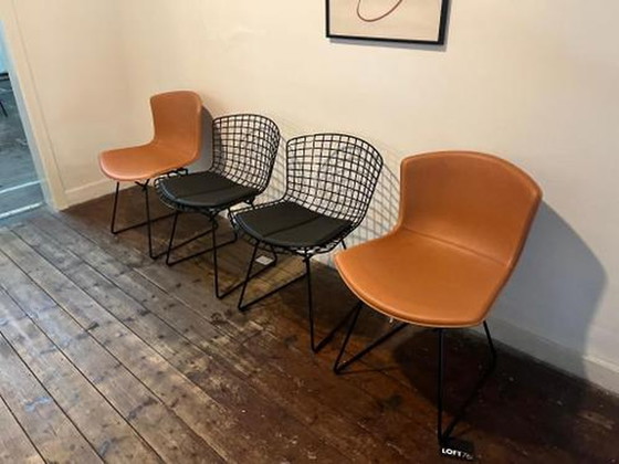 Image 1 of 4x Knoll International Bertoia dining room chairs