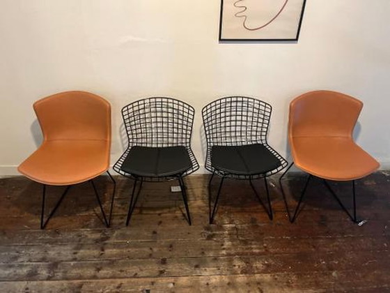 Image 1 of 4x Knoll International Bertoia dining room chairs