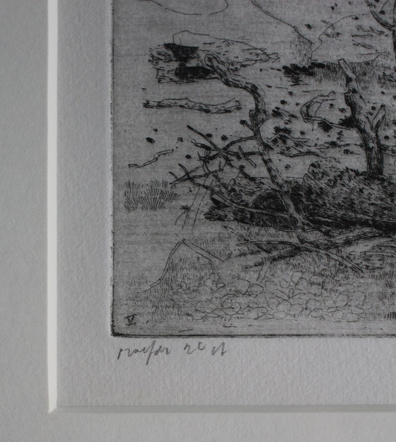 Image 1 of Charles Donker - Gravure encadrée : Bornia (Zeist) - 1995