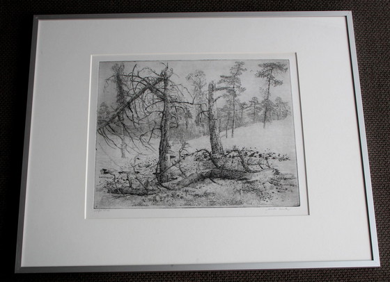 Image 1 of Charles Donker - Gravure encadrée : Bornia (Zeist) - 1995