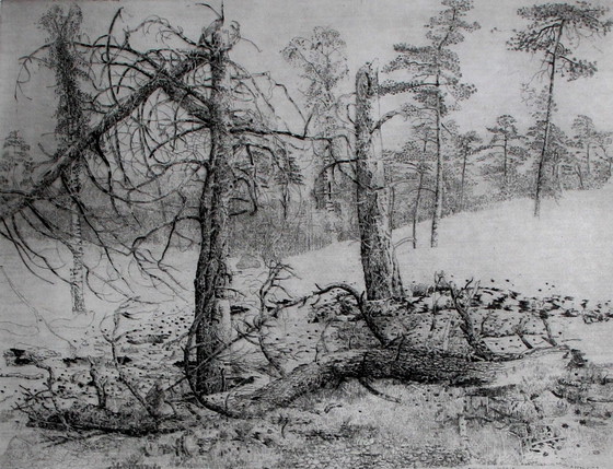 Image 1 of Charles Donker - Gravure encadrée : Bornia (Zeist) - 1995