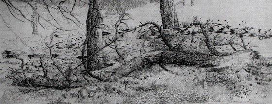 Image 1 of Charles Donker - Gravure encadrée : Bornia (Zeist) - 1995