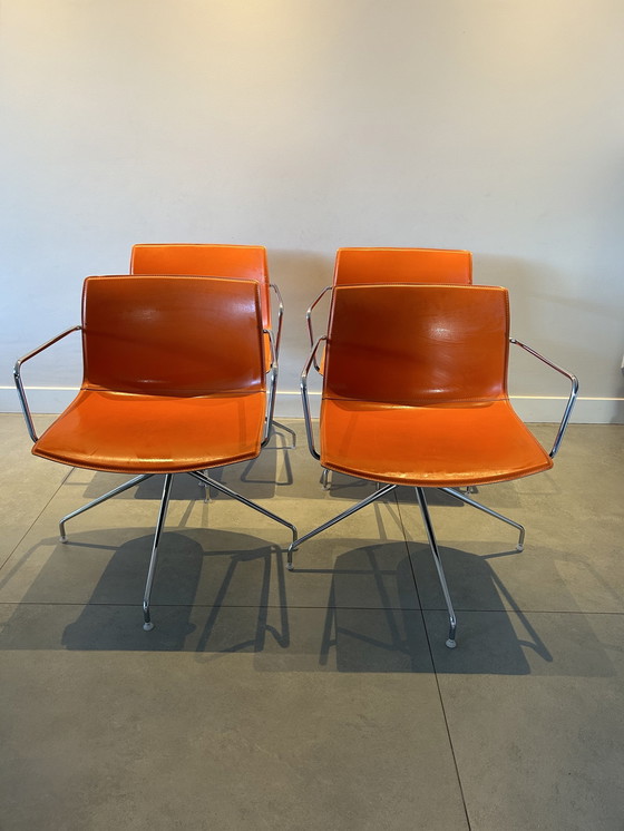 Image 1 of 4x Arper Catifa 46 Chairs