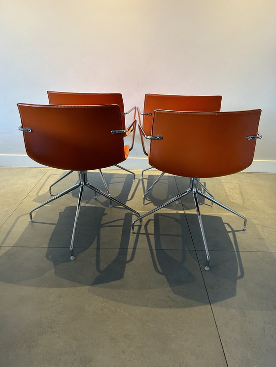 Image 1 of 4x Arper Catifa 46 Chairs