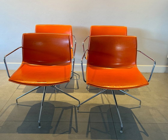 Image 1 of 4x Arper Catifa 46 Chairs