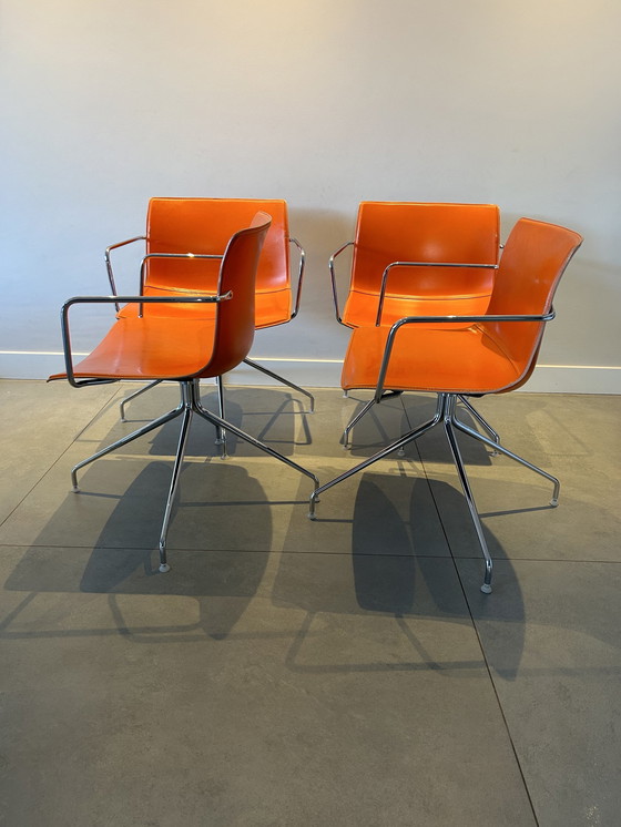 Image 1 of 4x Arper Catifa 46 Chairs