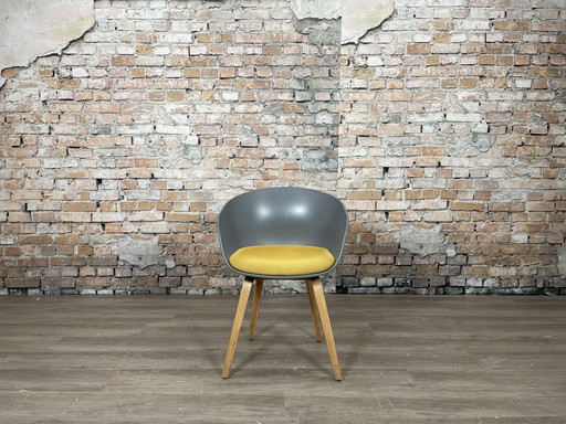 Hay AAC23 gray ochre