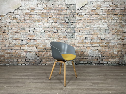 Hay AAC23 gray ochre