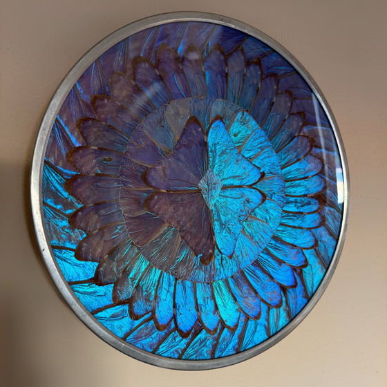 Image 1 of Antique Butterfly Wings Wall Plate