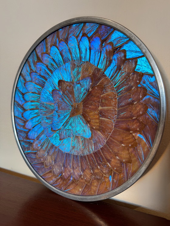 Image 1 of Antique Butterfly Wings Wall Plate