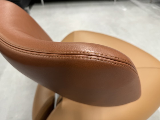 Image 1 of Leolux Pallone Armchair leather design chair Brown