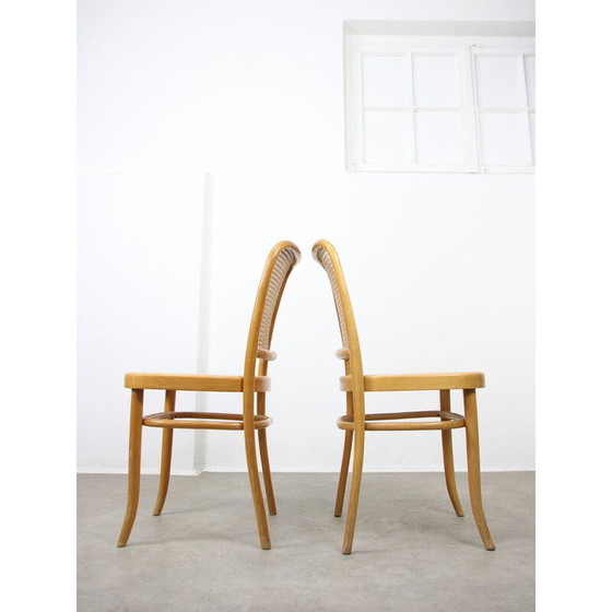 Image 1 of Coppia di sedie vintage n. 811 di Michael Thonet