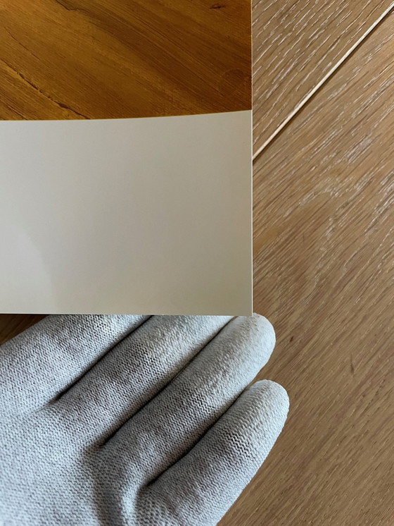 Image 1 of David Hockney,  Dog Paintings 38  Salts Mill 1995. 1853 Gallery Salts Mill Saltaire Yorkshire, Copyright David Hockney, Printed 