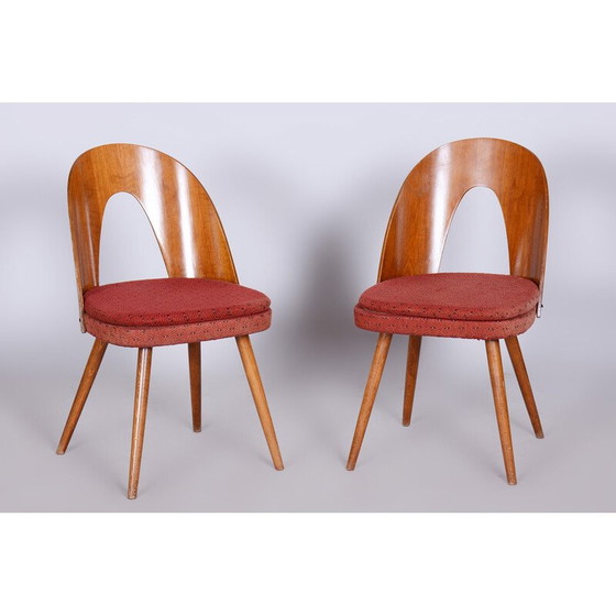 Image 1 of Pair of vintage chairs in beech, walnut and fabric by Antonín Šuman, Czech Republic 1950