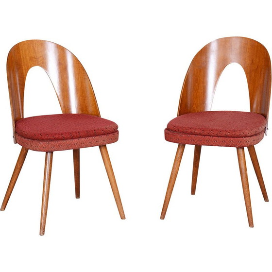 Image 1 of Pair of vintage chairs in beech, walnut and fabric by Antonín Šuman, Czech Republic 1950