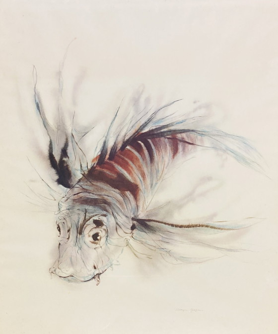 Image 1 of Klaus Meyer-Gasters - Stampa acquerello vintage Pesce - Con cornice