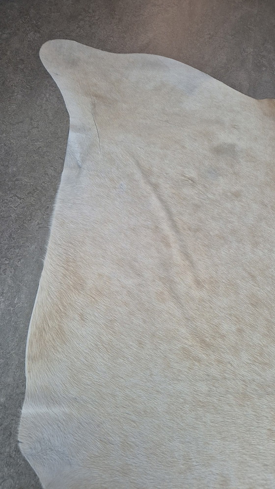 Image 1 of Cowhide Blonde - Good Condition