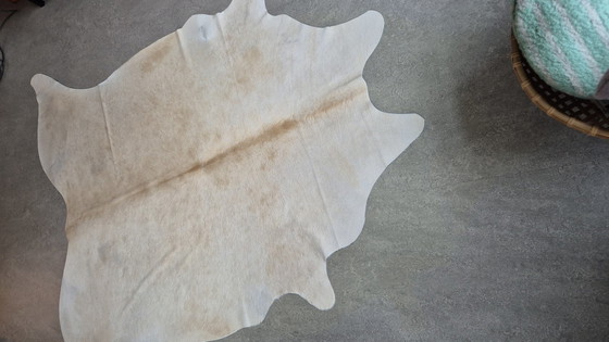 Image 1 of Cowhide Blonde - Good Condition