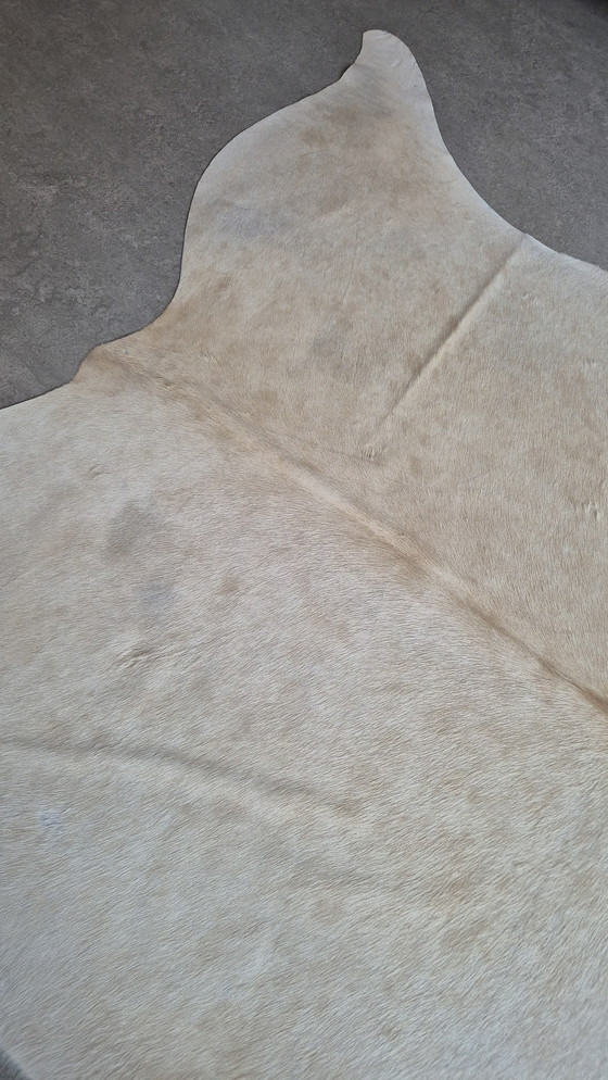 Image 1 of Cowhide Blonde - Good Condition