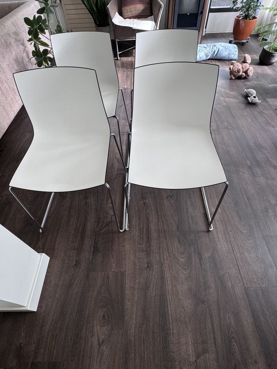 Image 1 of 4x Arper Califa Chairs