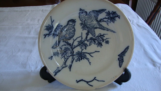 Image 1 of 8x Piatti Vintage con Uccelli